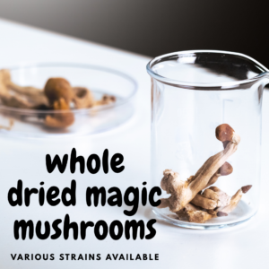 Dried Whole Magic Mushrooms